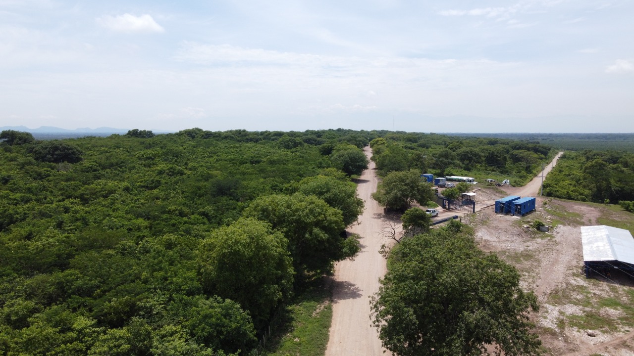 PR 14+0000 PLATANERA SENTIDO CUATROVIENTOS-CODAZZI.jpeg